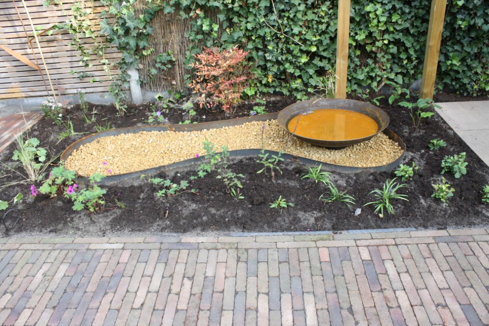 hovenier_zwolle_AangepastIMG_5721__1.JPG