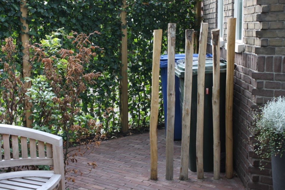 hovenier_zwolle_AangepastIMG_5724__1.JPG