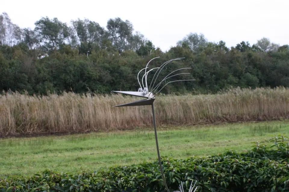 hovenier_zwolle_AangepastIMG_5746_.webp