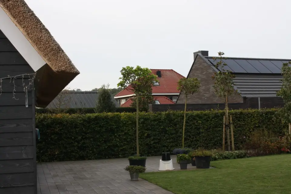 hovenier_zwolle_AangepastIMG_5761_.webp