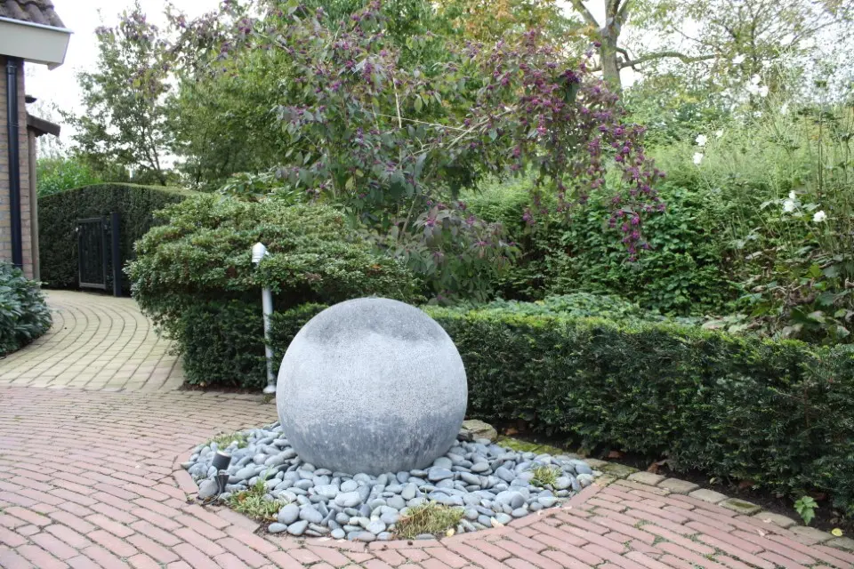 hovenier_zwolle_AangepastIMG_5781_.webp
