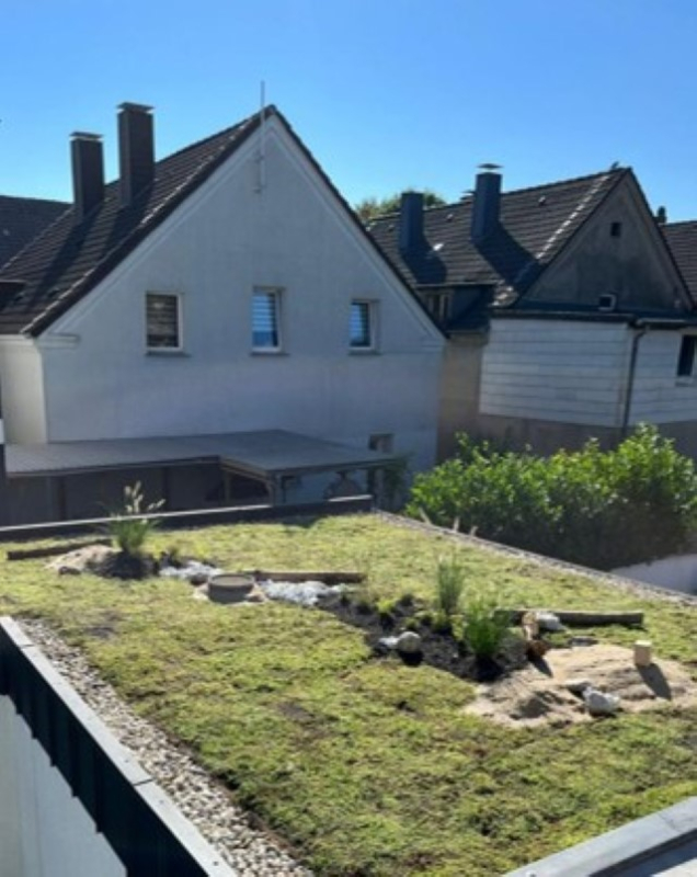 hovenier_zwolle_AangepastMini_biodiversiteitspakket_.jpg