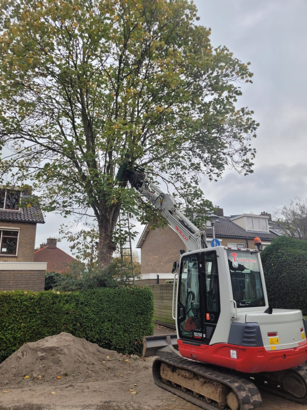 hovenier zwolle PHOTO-2023-10-14-20-27-48 8