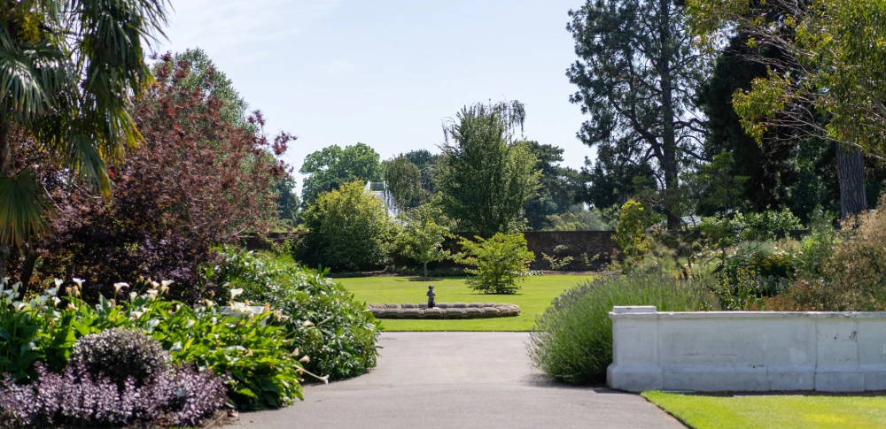 hovenier zwolle tuinenzwolle